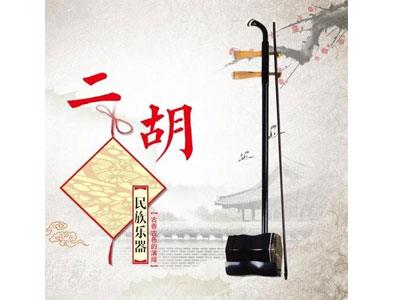 招聘兰州二胡家教老师